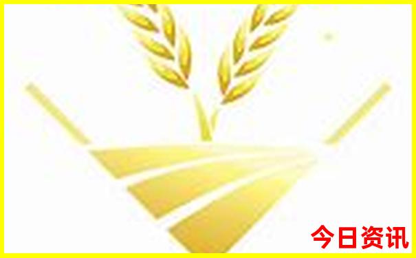 重庆必去景点推荐